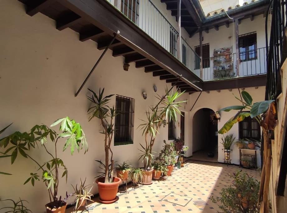 Patios De Triana - El Corral De La O Apartamento *